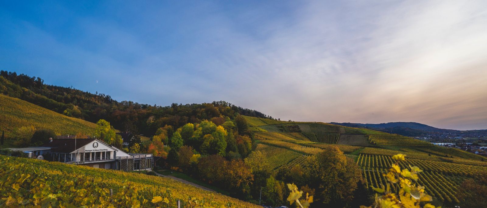 Weingut Schloss Ortenberg - Weinparadies Ortenau