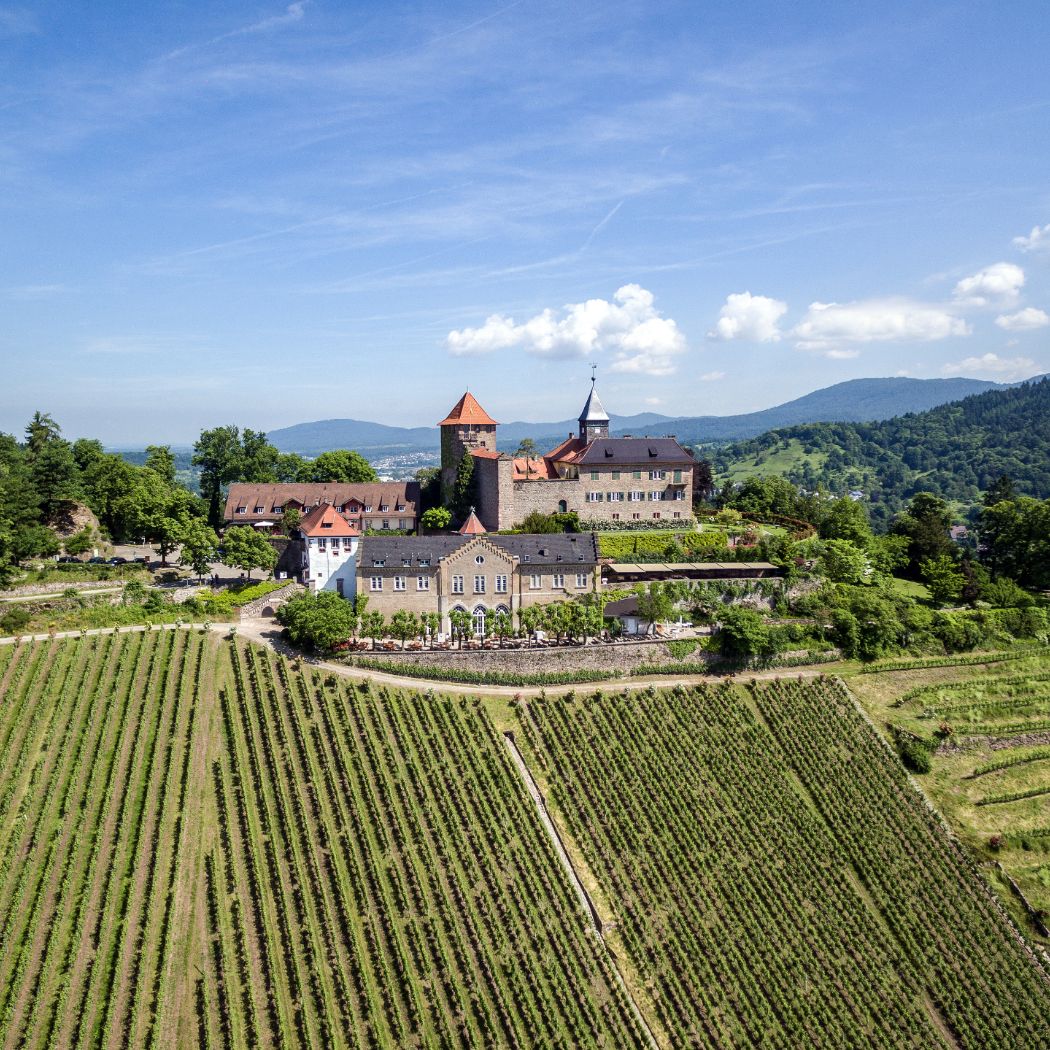 Weinpfadetappe - Weinparadies Ortenau