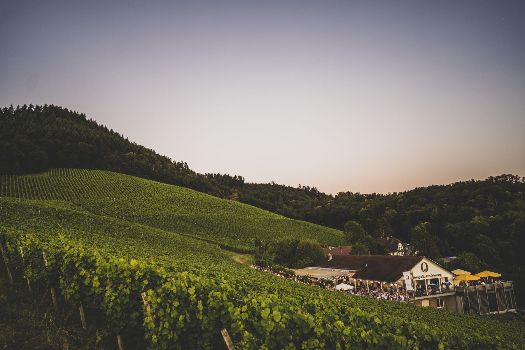 Weingut Schloss Ortenberg - Weinparadies Ortenau